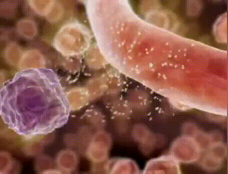 1766113707942526.gif 1766113707942526.gif